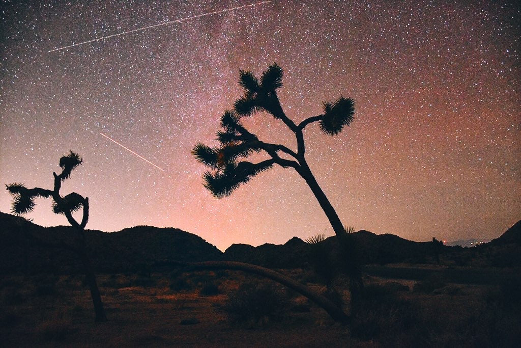 Joshua Tree National Park