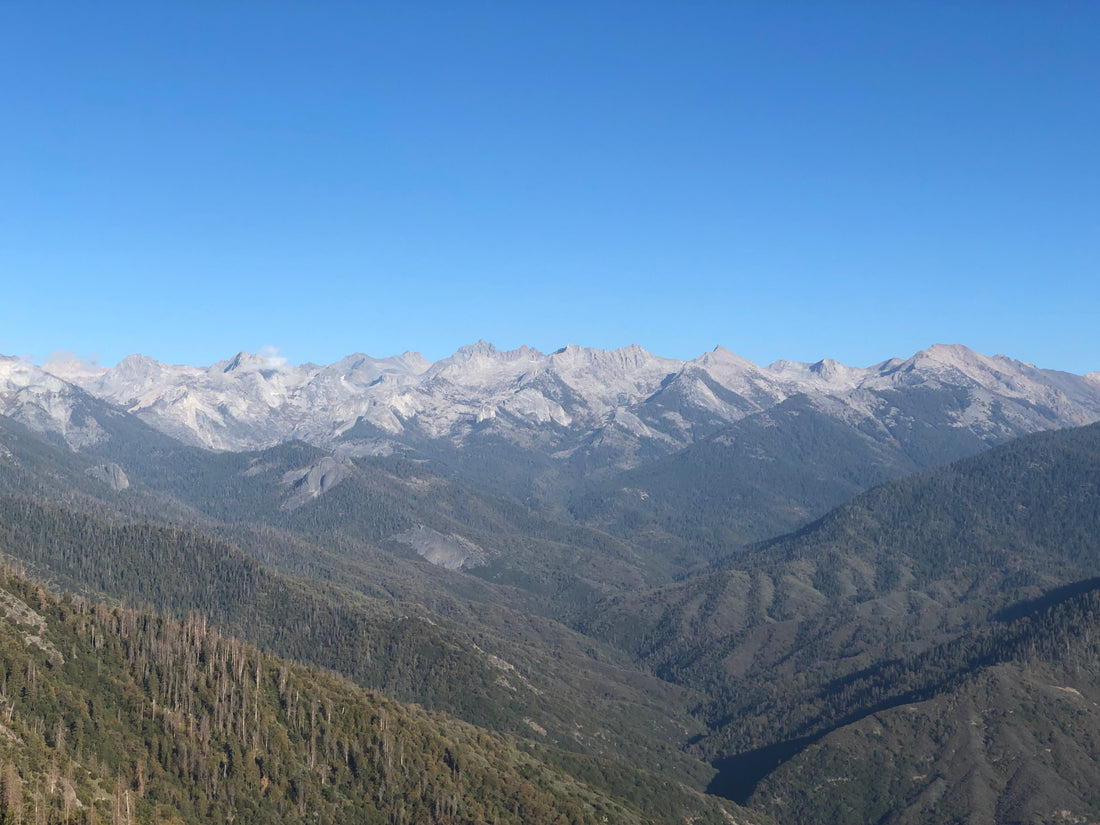 Sequoia National Park